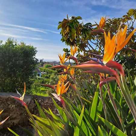 Sintra V3 In Nordstarnan, Quiet Landscape With Stunning Views Of The Atlantic Coast, Colares, Sintra 콜라레스